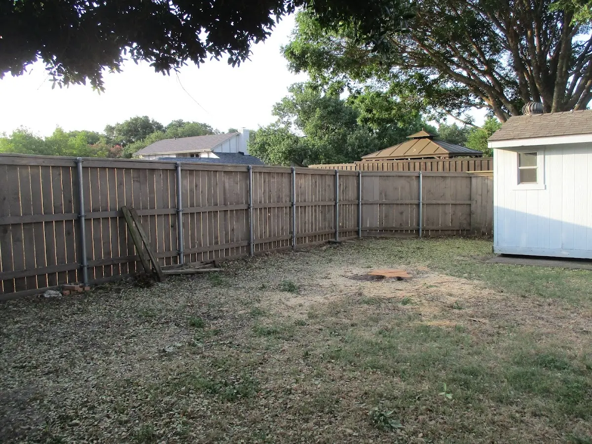 Cleared yard after professional tree removal in Douglasville
